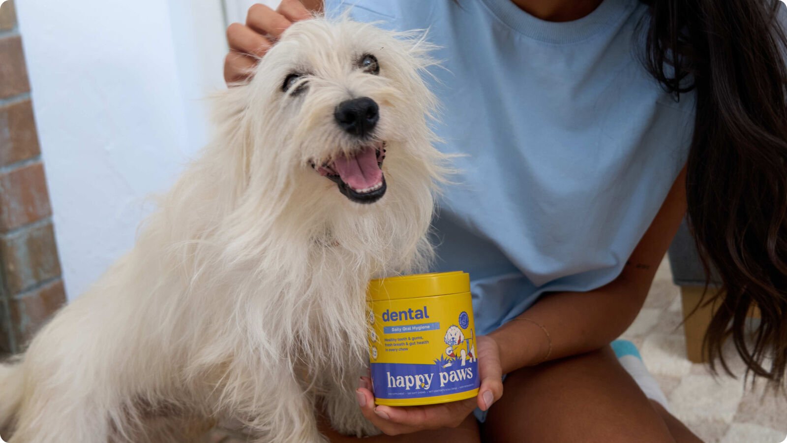 Ascend Agency HP article - Dog Supplements 4.jpg